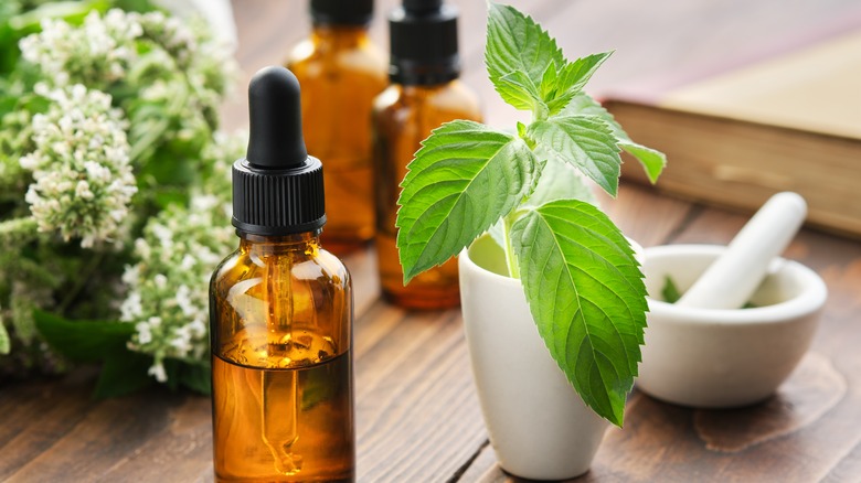 Bottles of peppermint essential oil