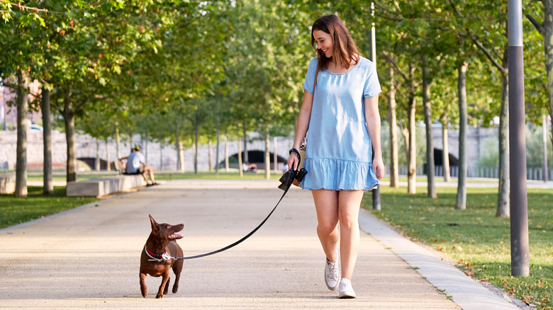 Woman walking dog in park