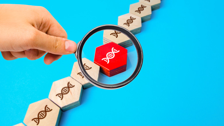 DNA with a magnifying glass