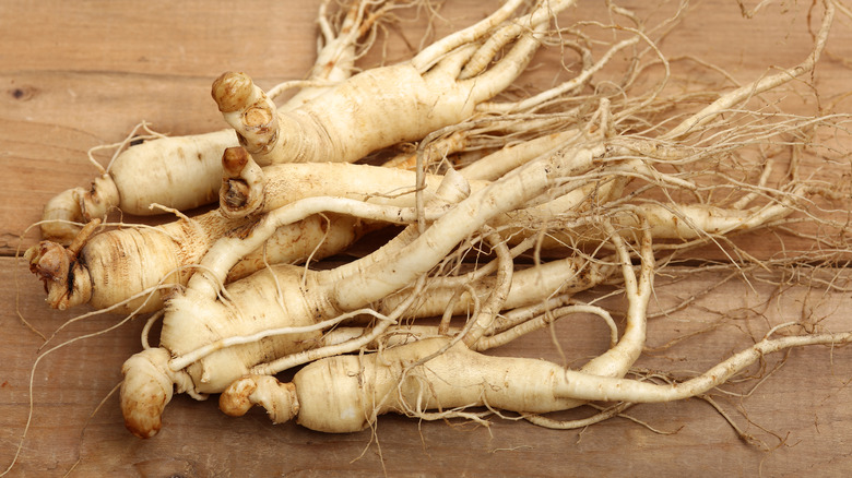 fresh ginseng root