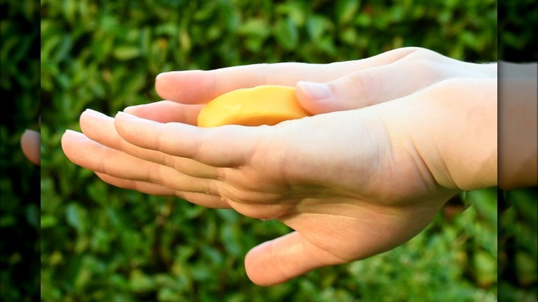 person using solid lotion bar