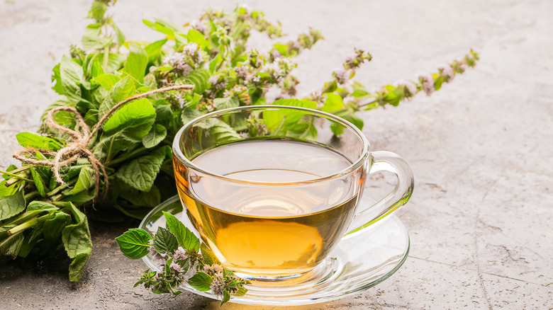 Cup of lemon balm tea
