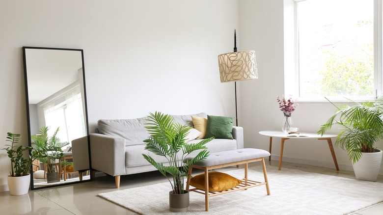 mirror reflecting outside light