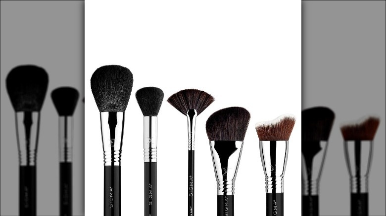 Sigma Beauty Ultimate Brush set