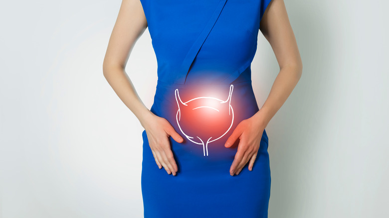 illustration of bladder on woman