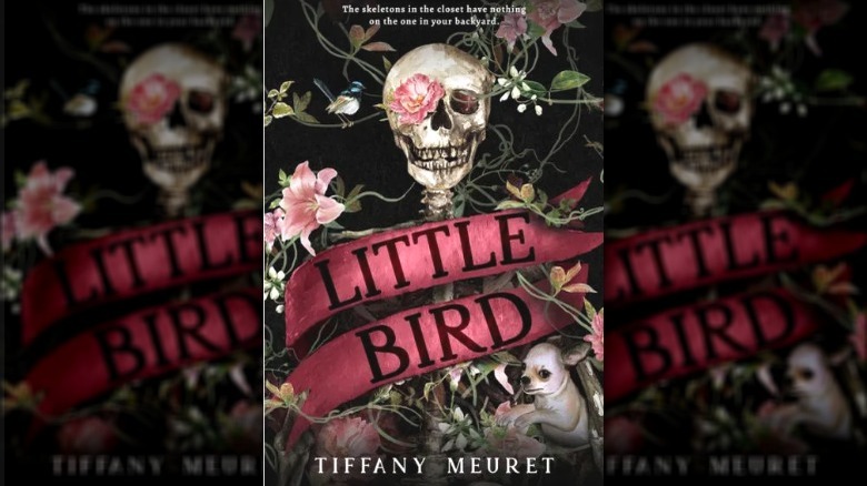 Little Bird book cover