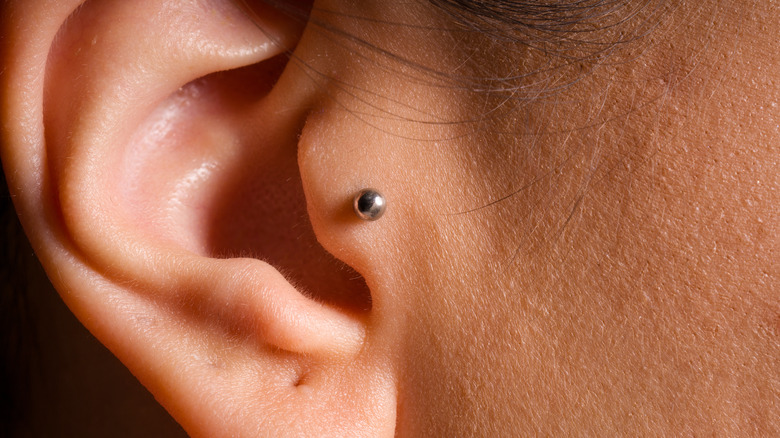 tragus piercing