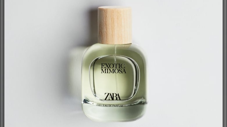 Zara Exotic Mimosa
