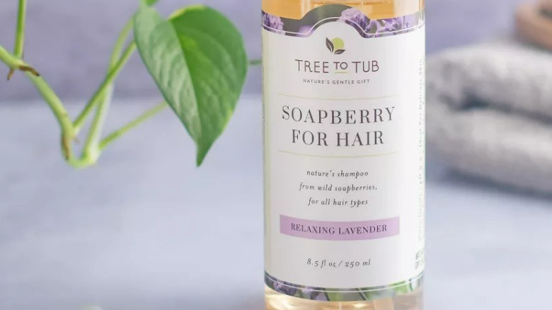 Shampoo on aesthetic background