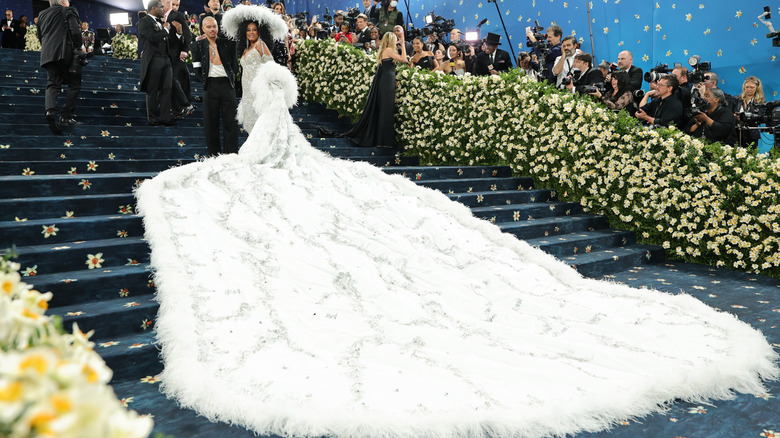 Dians Ross wore an 18-foot coat to the Met Gala