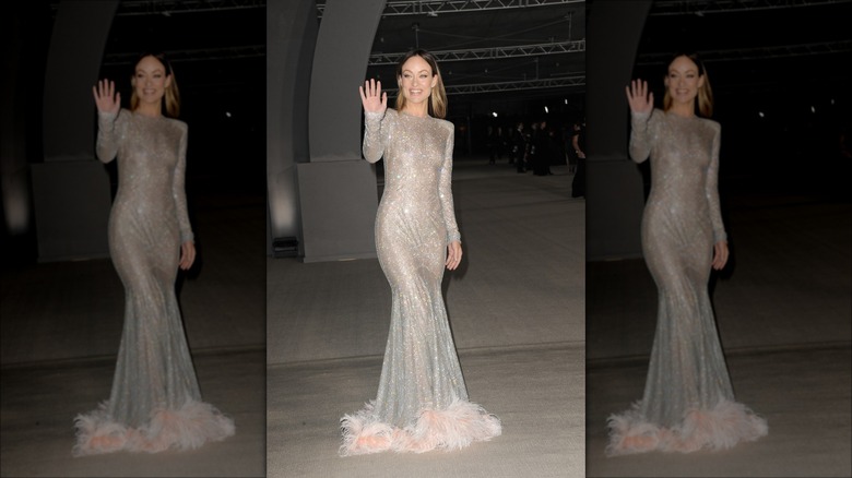 olivia wilde wearing sheer silver gown