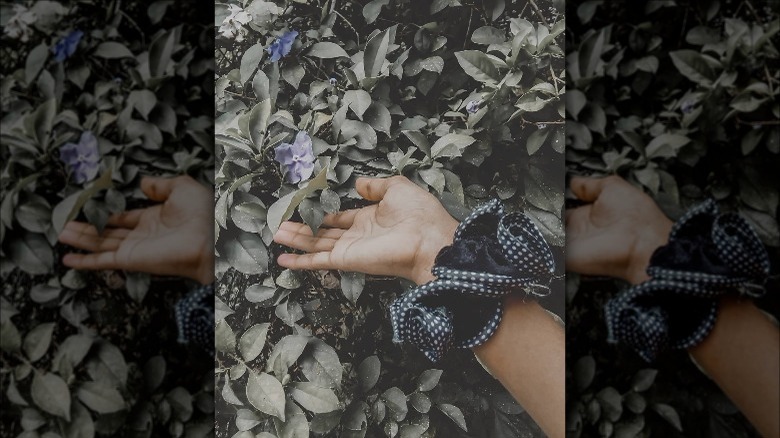 woman wearing scrunchie around wrist