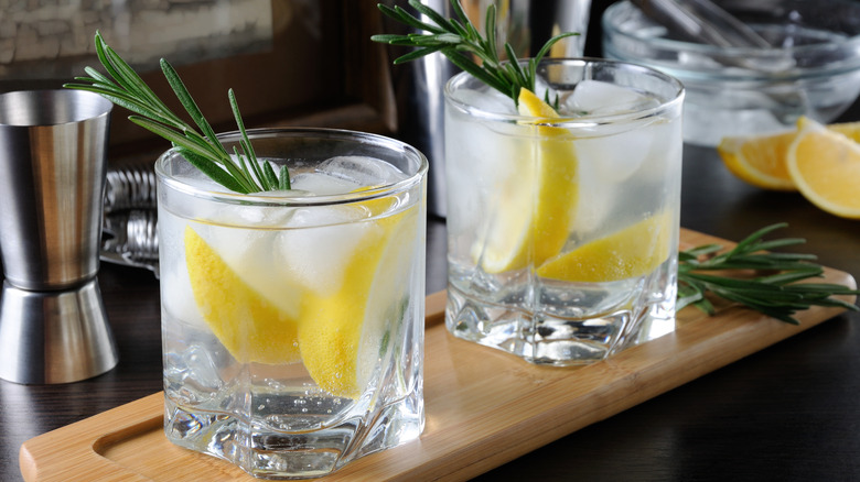 Two port and tonic cocktails