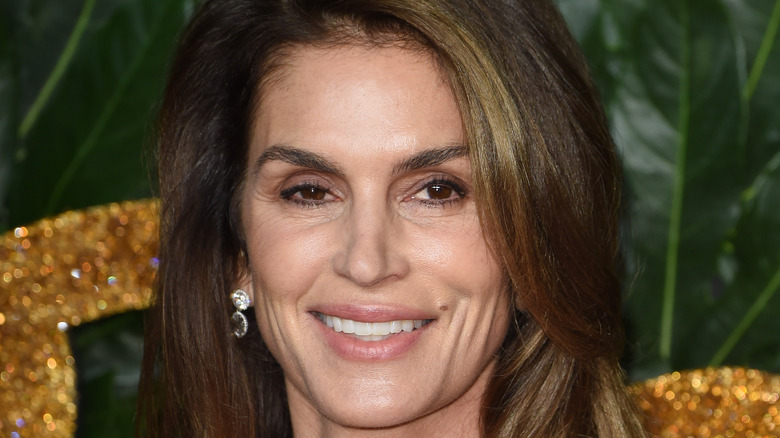 Cindy Crawford plastic surgery