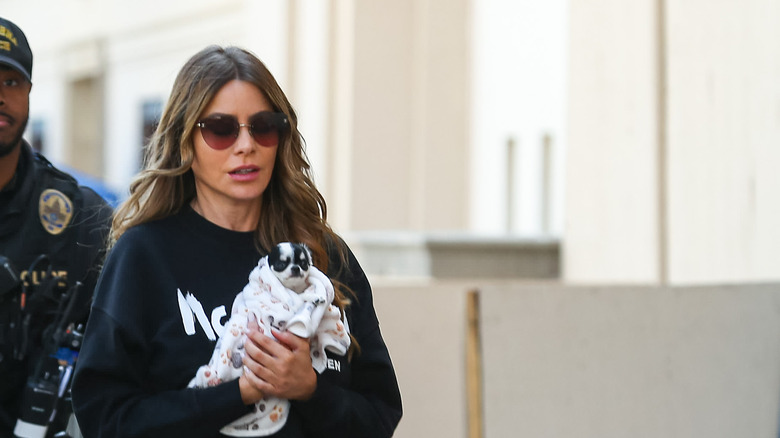 Vergara on a walk with dog