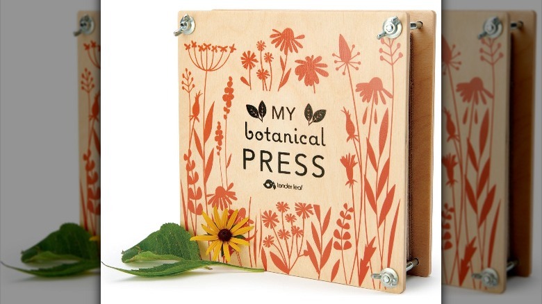 botanical press leaf flower kids learning