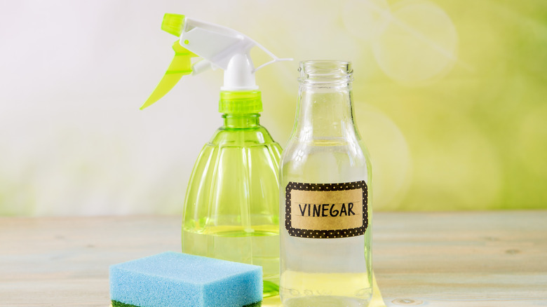 Vinegar jar and spray bottle 