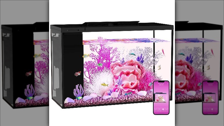 Smart aquarium