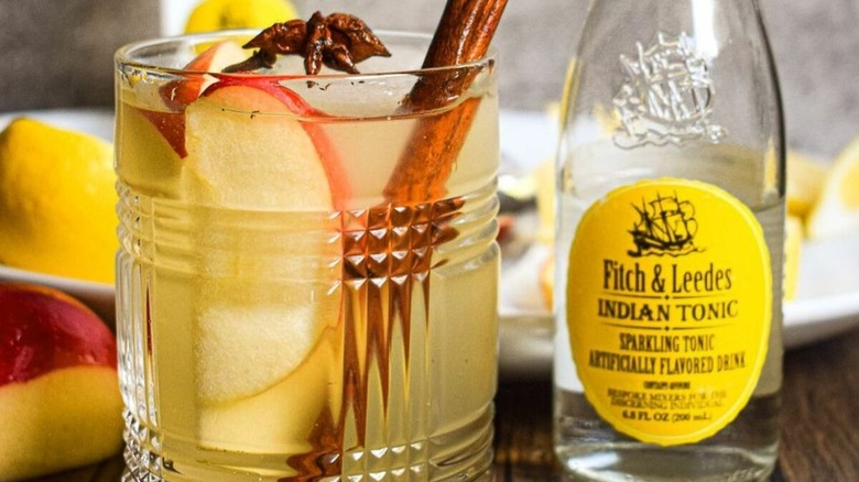 spiced gin and tonic 