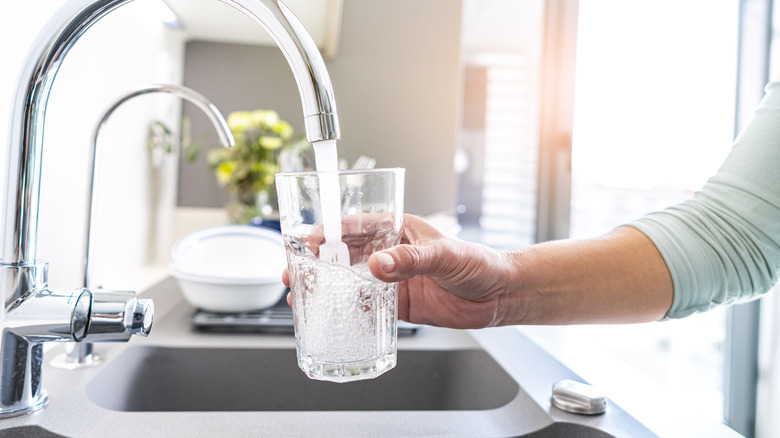 filling a glass of water