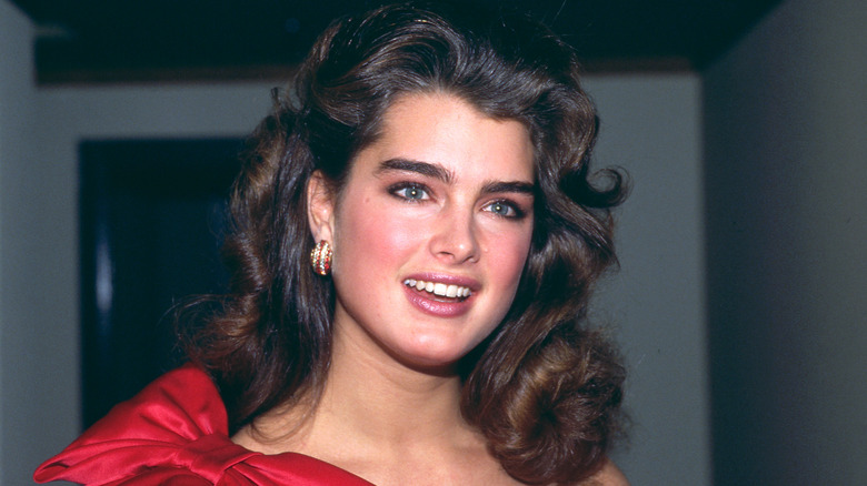 brooke shields in 1984