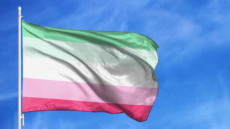 Abrosexual pride flag