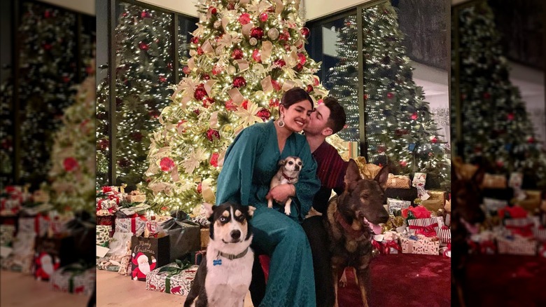 Priyanka Chopra and Nick Jonas sit with their dogs in front of a giant Christmas tree