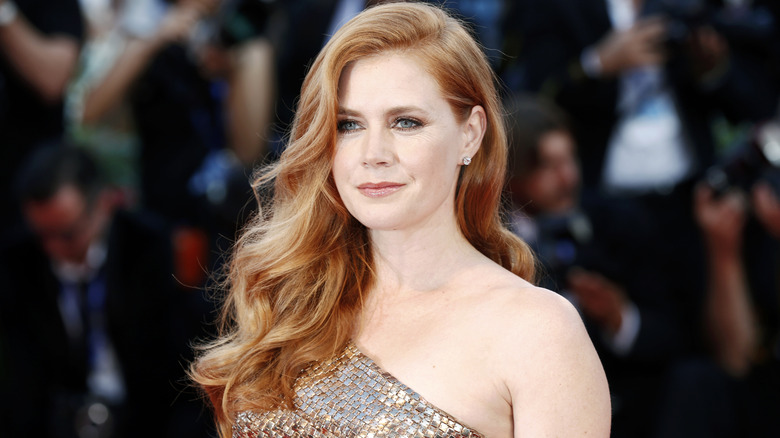Amy Adams poses on the red carpet