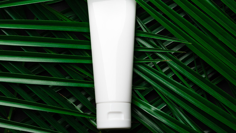 white makeup tube on ferns