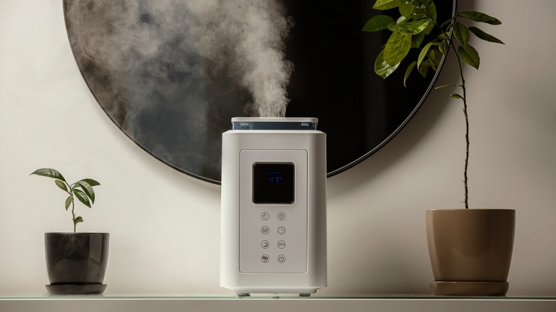 A humidifier