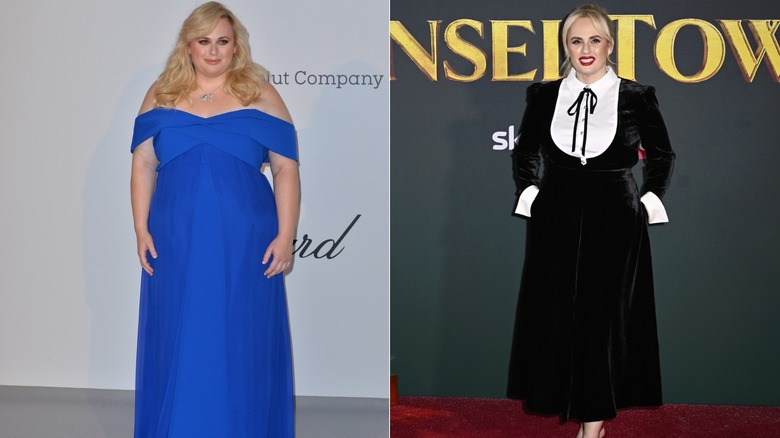 Rebel Wilson in 2019 and 2025
