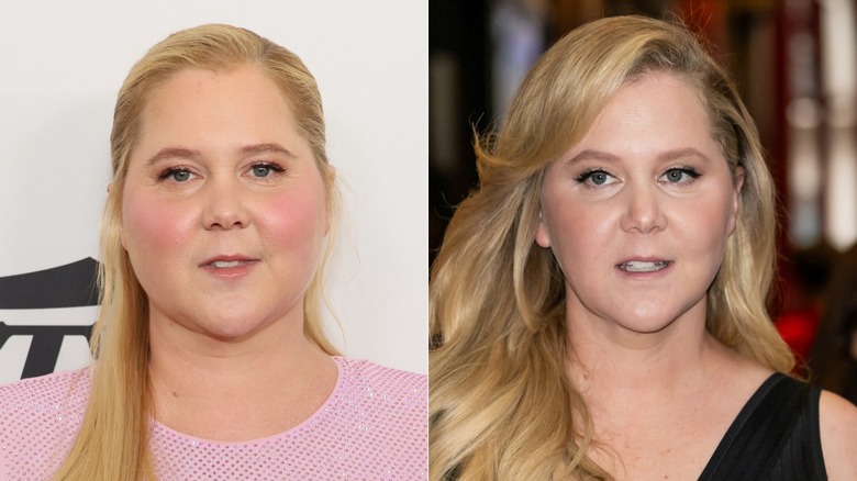 Amy Schumer in 2024 and 2025