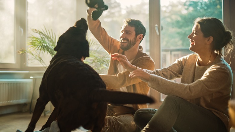 Couple playing with their dog