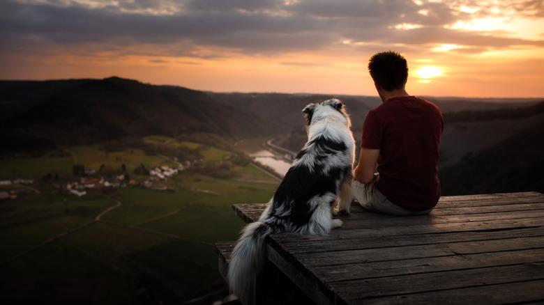 Man with dog at sunset