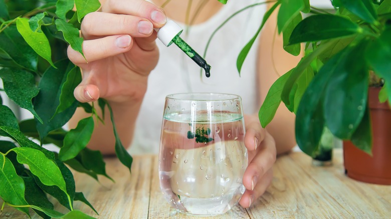 Chlorophyll drops in water