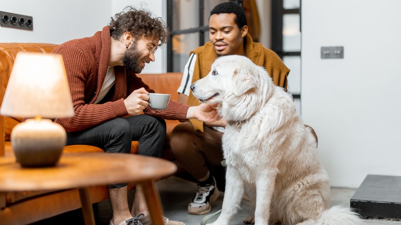smiling couple with dog
