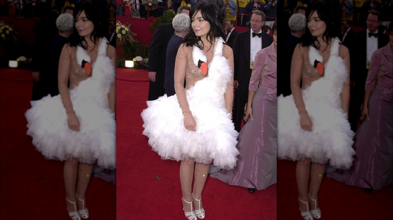 Björk in swan dress