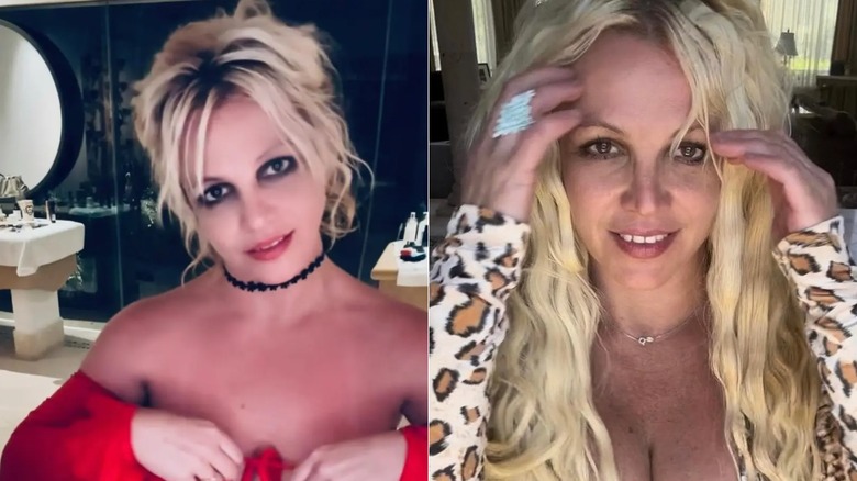 Britney Spears in the early 2020s