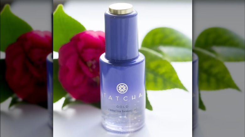 Tatcha's camellia oil