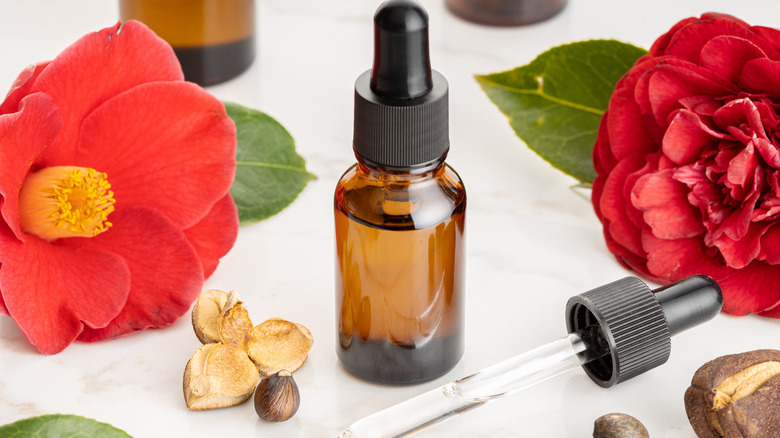 camellia seed oil 