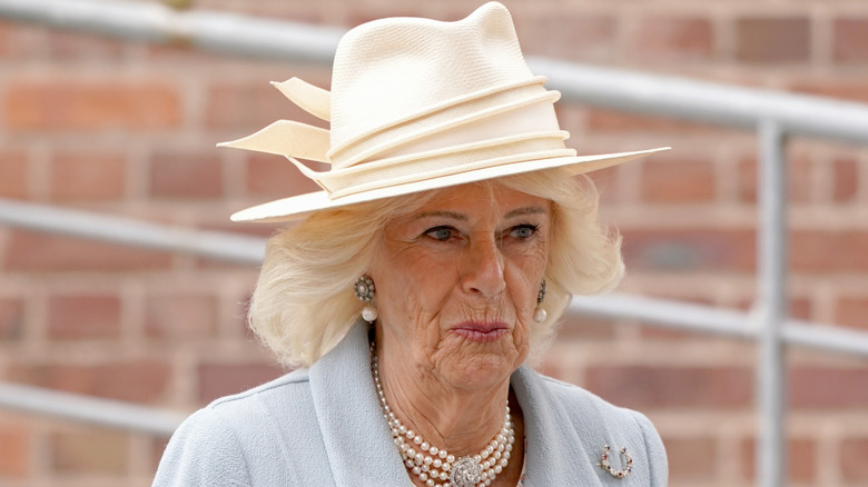 Queen Camilla photographed wearing a cream hat and a pale blue coat