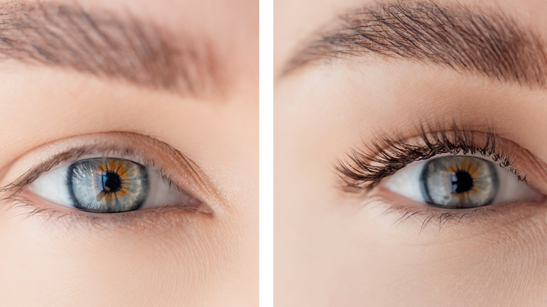 normal eyelashes vs fuller eyelashes
