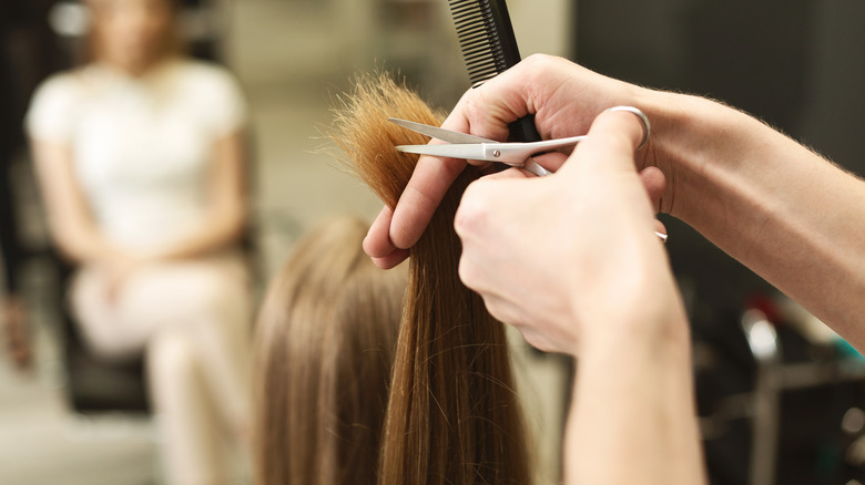 person getting split ends cut