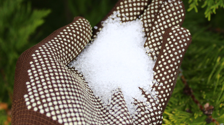 epsom salt in a hand