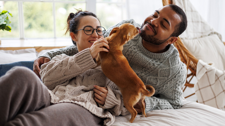 happy couple in bed with sausage dog