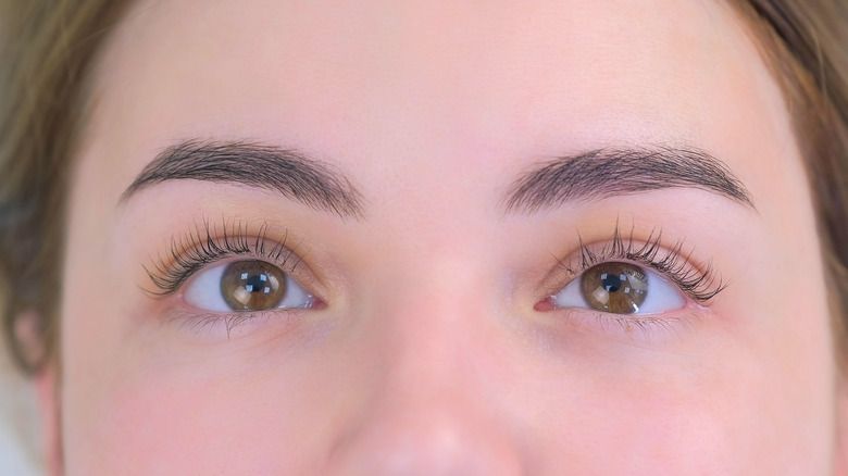 woman with lash lift 