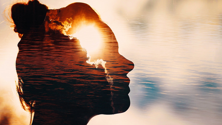 Illustration of woman's profile in sky