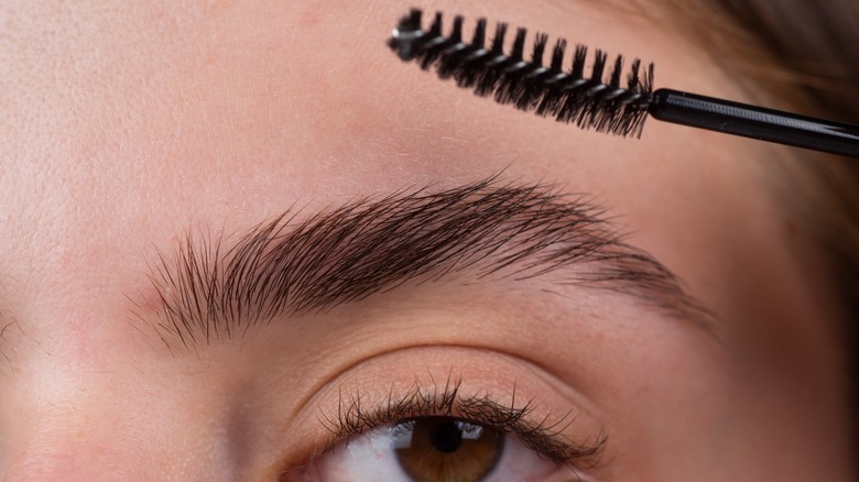 a woman's eyebrow