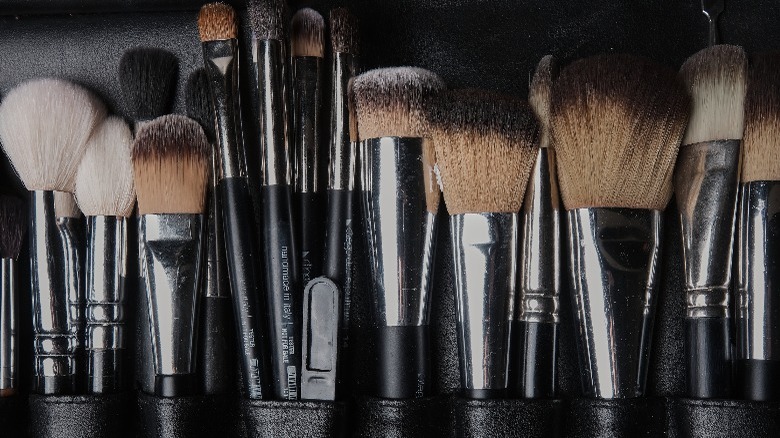 Makeup brushes lined up