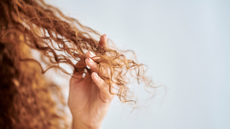 Woman with split curly ends